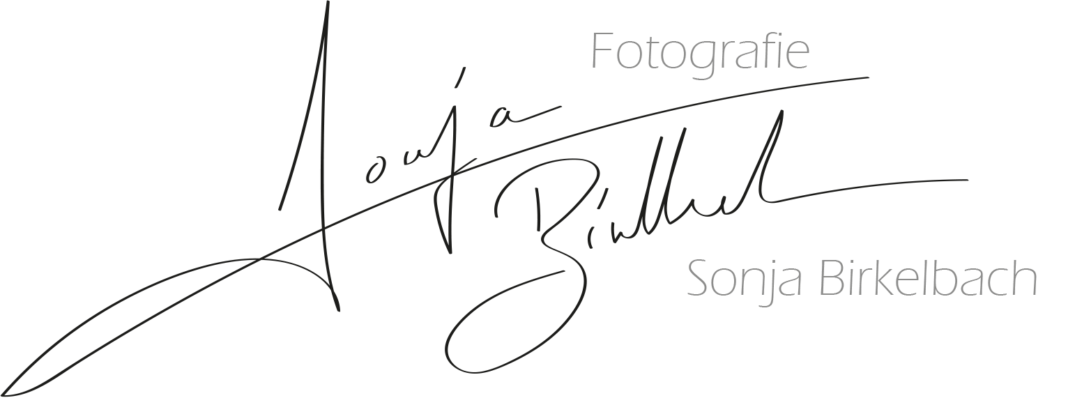 sonja-birkelbach.com